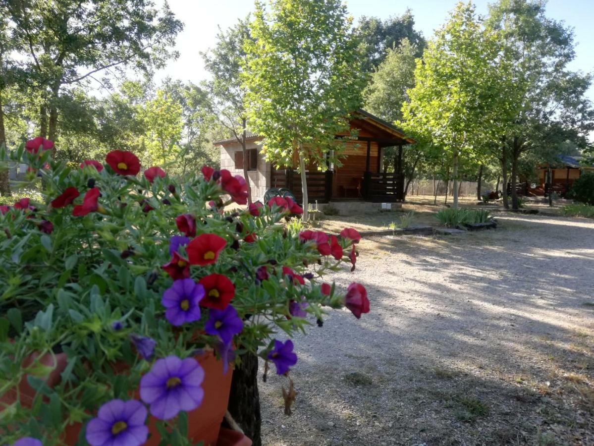 Cabanas Vallecino Manzanal de los Infantes Exterior photo